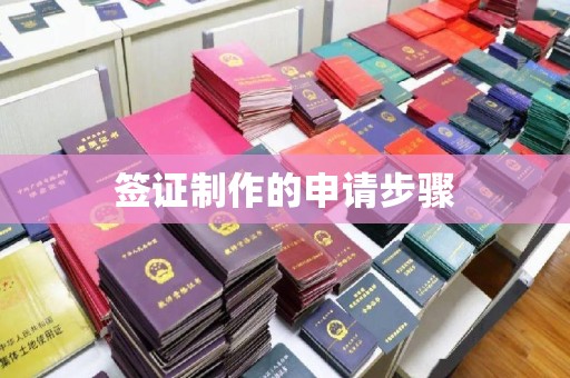 安乡签证制作的申请步骤