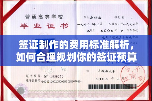 安乡签证制作的费用标准解析，如何合理规划你的签证预算