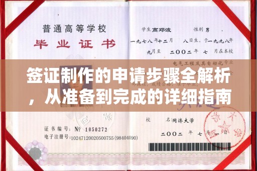 安乡签证制作的申请步骤全解析，从准备到完成的详细指南