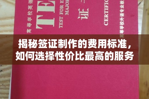 安乡揭秘签证制作的费用标准，如何选择性价比最高的服务？