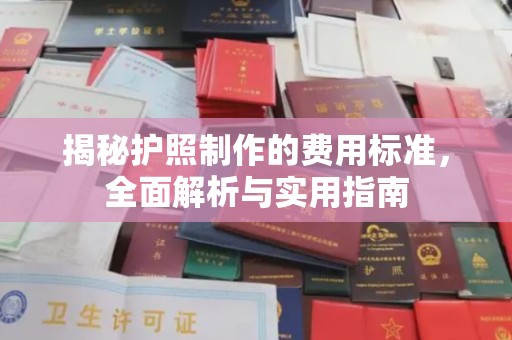 安乡揭秘护照制作的费用标准，全面解析与实用指南