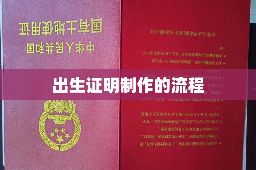 安乡出生证明制作的流程