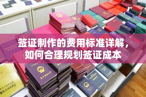 安乡签证制作的费用标准详解，如何合理规划签证成本