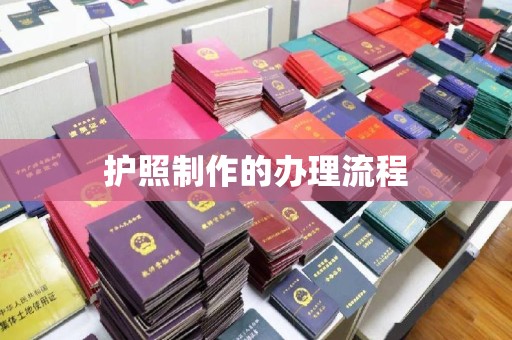 安乡护照制作的办理流程